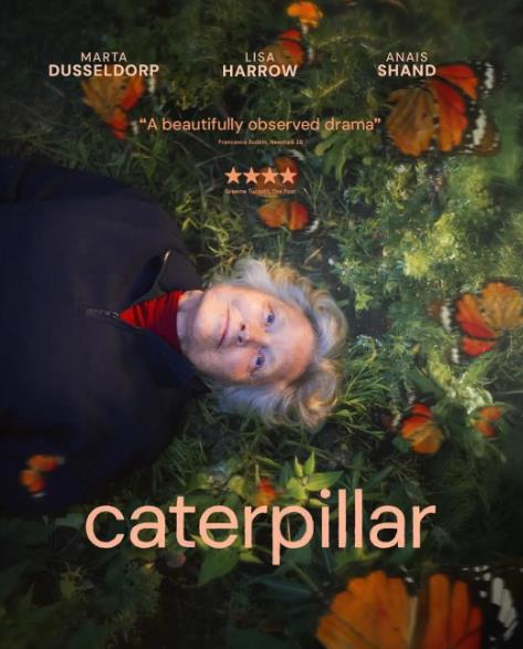 電影【破繭成蝶/Caterpillar】2026年
